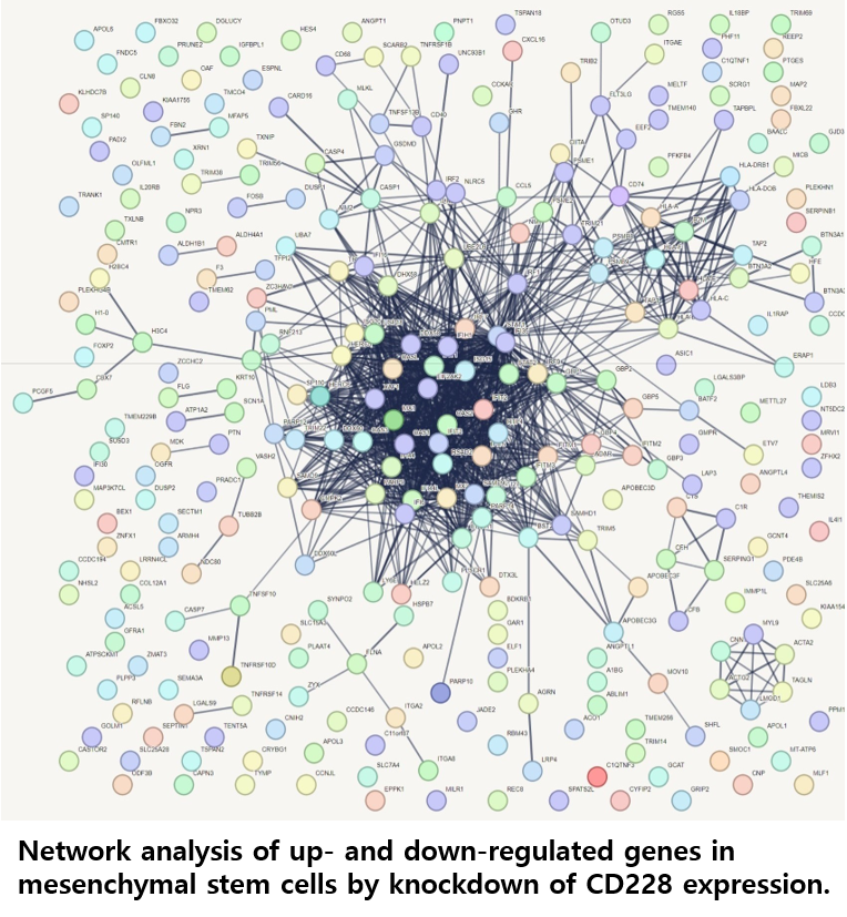 세포생물학연구